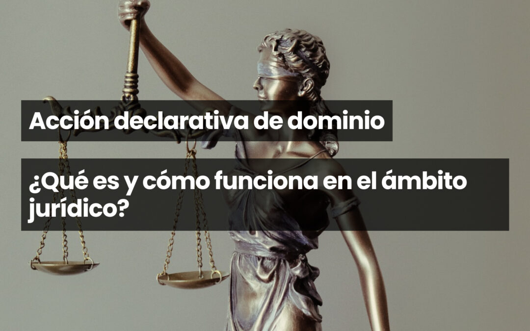 Acción declarativa de dominio