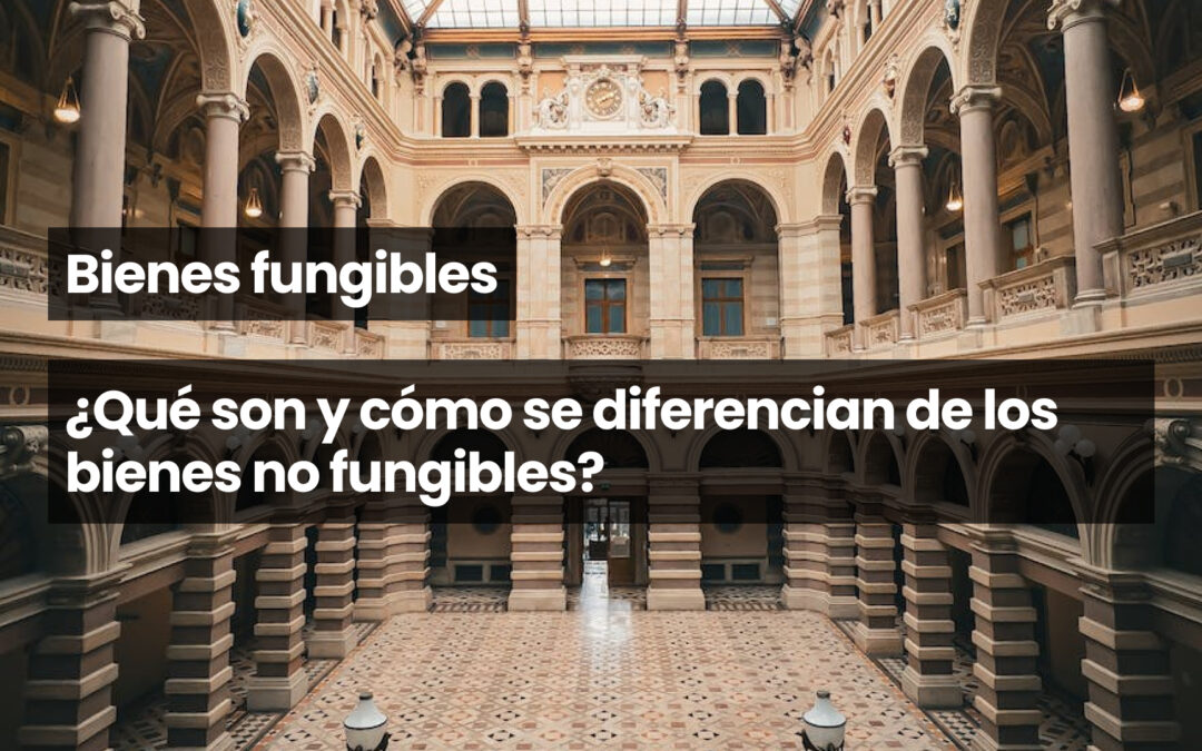 Bienes fungibles