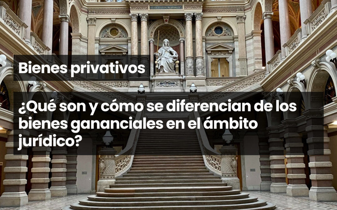 Bienes privativos