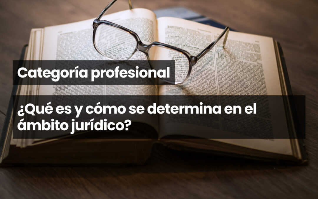 Categoría profesional