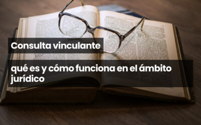 Consulta vinculante