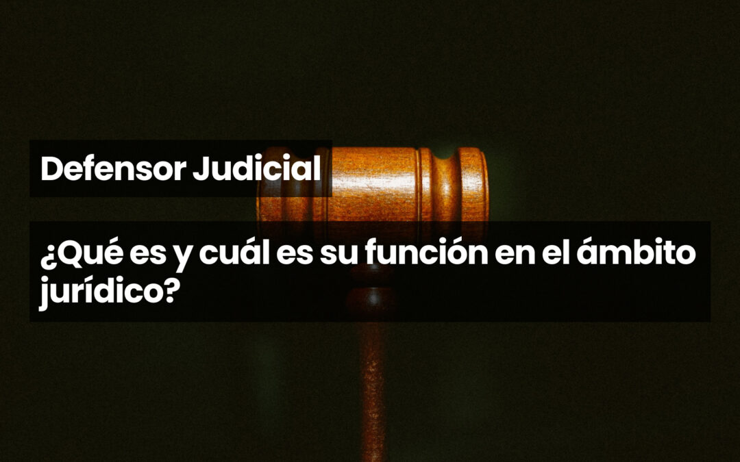 Defensor judicial