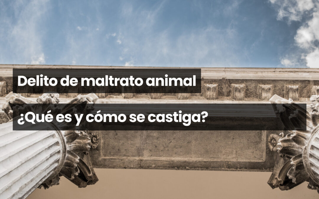 Delito de maltrato animal