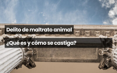 Delito de maltrato animal