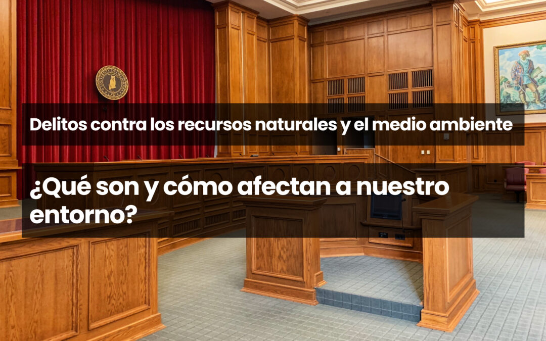 Delitos contra los recursos naturales y el medio ambiente