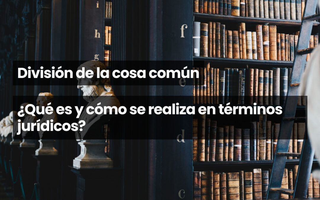 División de la cosa común