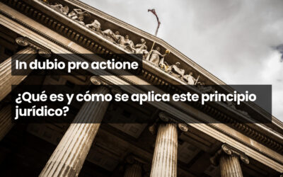 In dubio pro actione