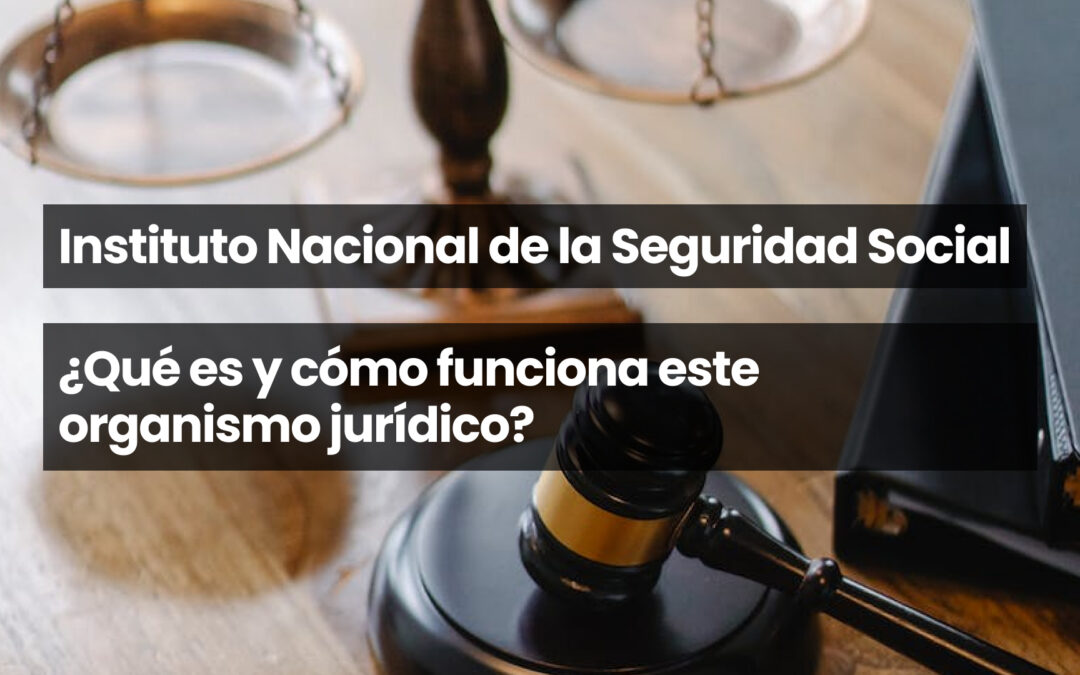 Instituto Nacional de la Seguridad Social
