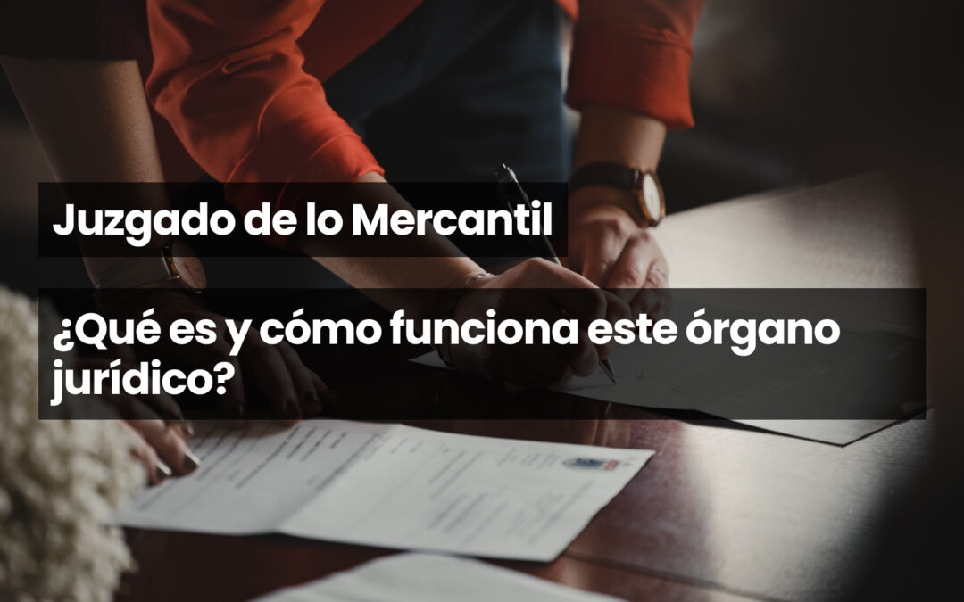 Juzgado de lo Mercantil