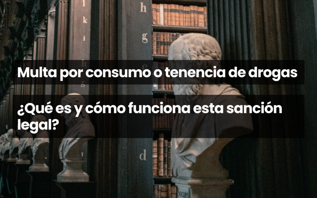 Multa por consumo o tenencia de drogas