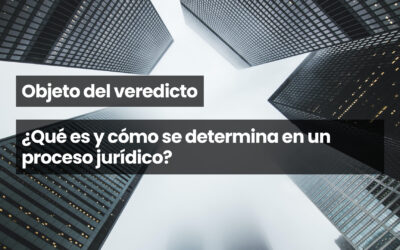 Objeto del veredicto