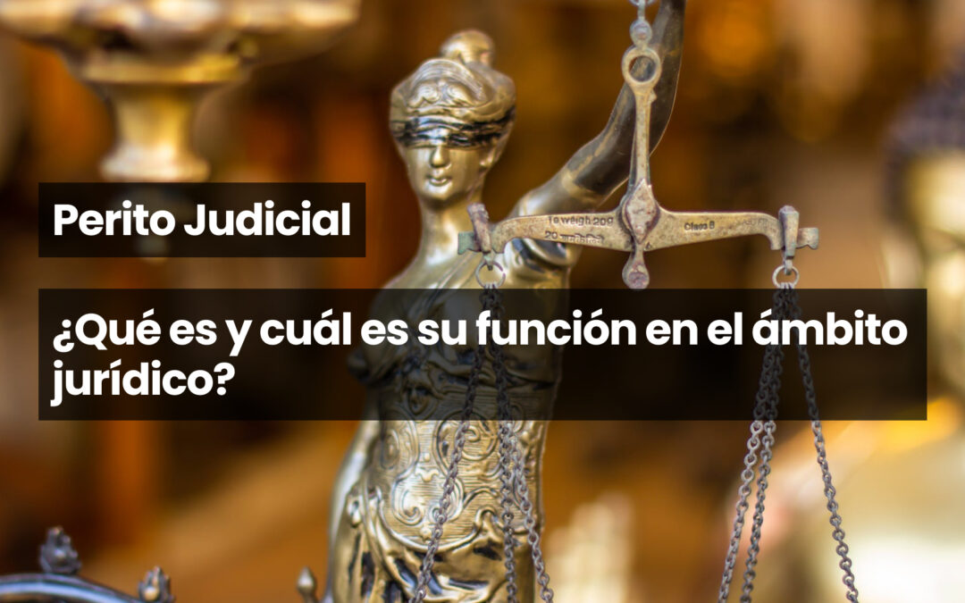 Perito judicial