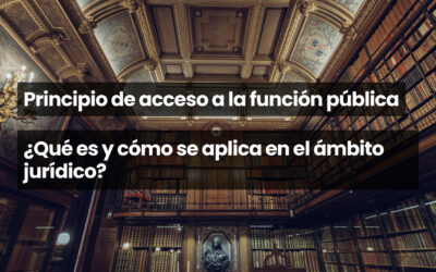 Principio de acceso a la función pública