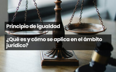 Principio de igualdad