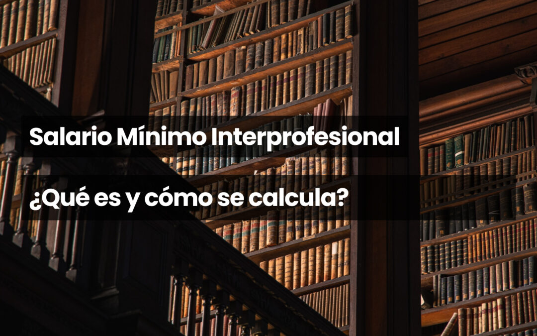 Salario Mínimo Interprofesional
