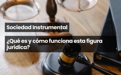 Sociedad instrumental