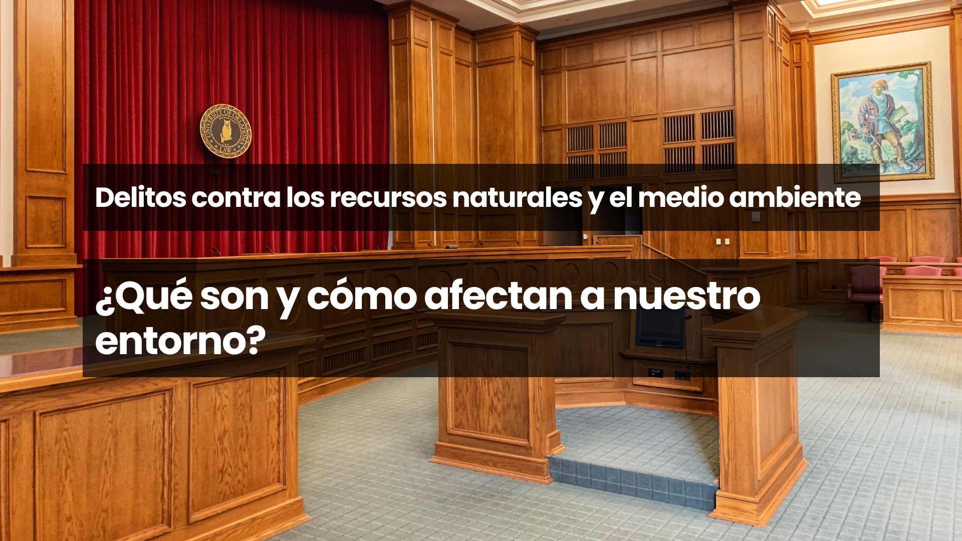 Delitos contra los recursos naturales y el medio ambiente