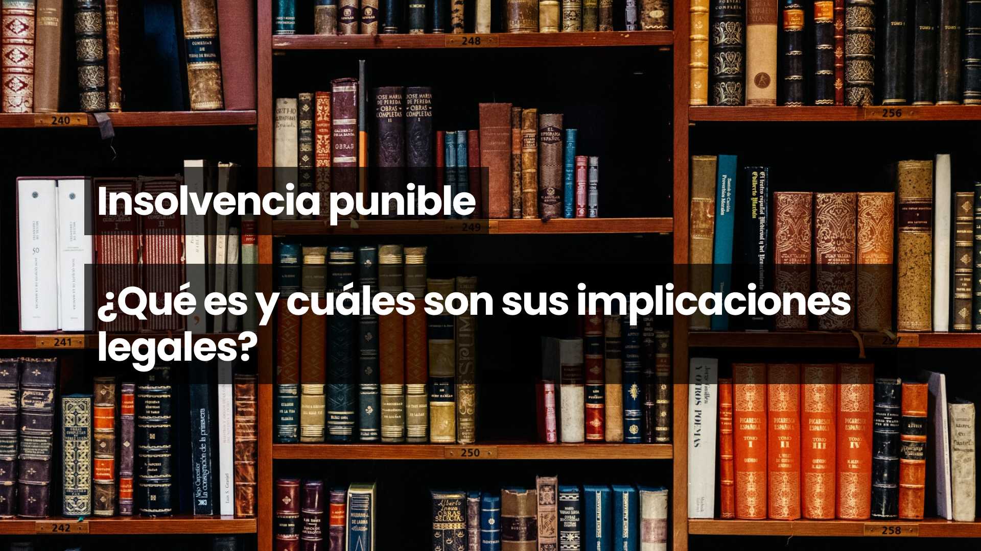 Insolvencia punible