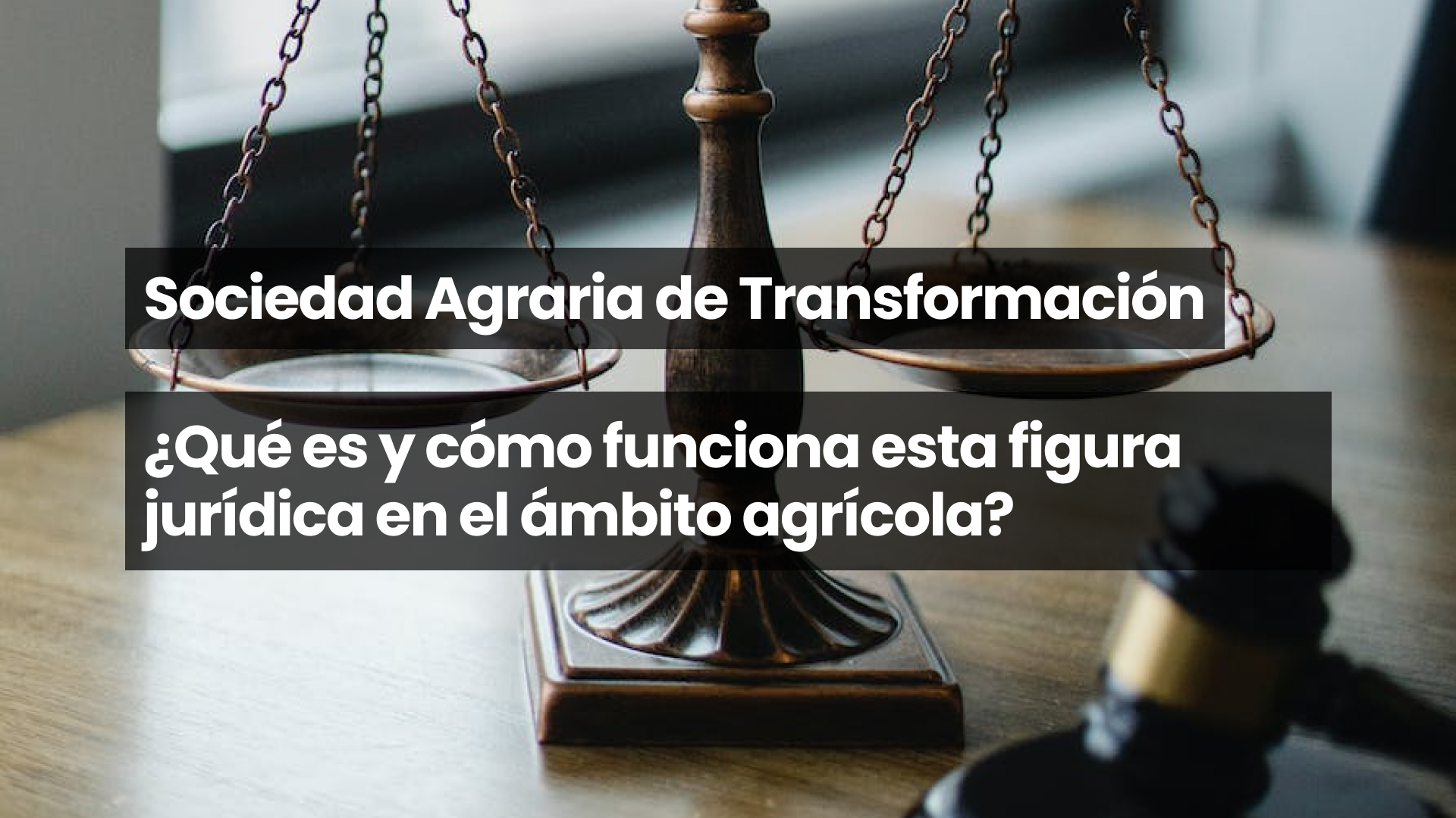 Sociedad Agraria de Transformación